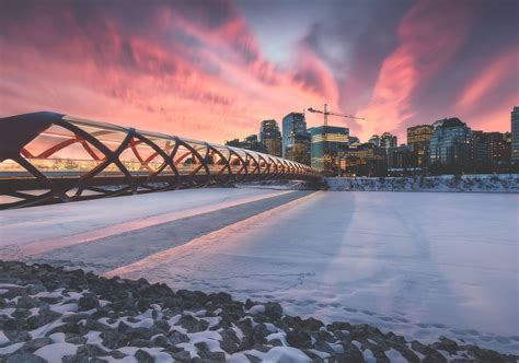 Calgary Peace Bridge With Downtown Calgary Skyline Sunrise Canada
