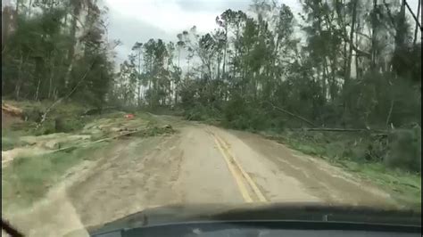Hurricane Michael Downs Countless Trees In Marianna Florida