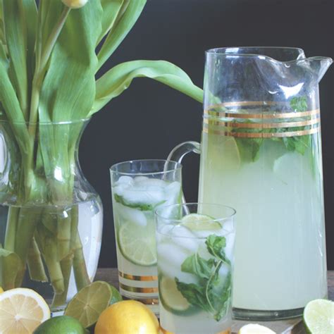 In a blender, combine limeade concentrate, ice cubes, water and vodka. Vodka Mint Limeade | Jillianastasia