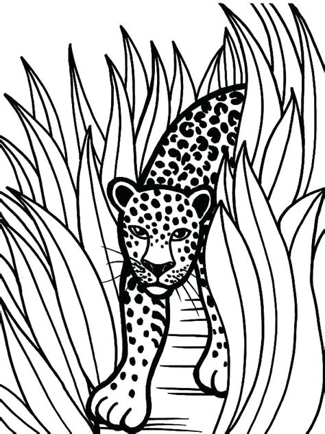 Jaguar Animal Coloring Pages At Free Printable