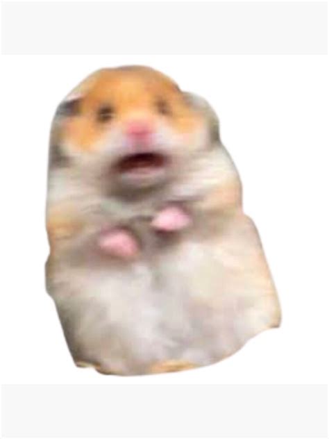 Scared Hamster Meme Poster For Sale By The Al Foil Redbubble