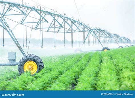 Installatie Het Water Geven Systeem Bij Idustrial Landbouwbedrijf Buiten Stock Afbeelding