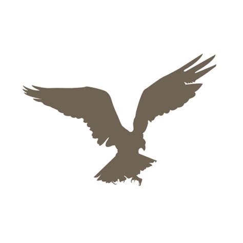 Flying Eagle Silhouette Transparent Png And Svg Vector File