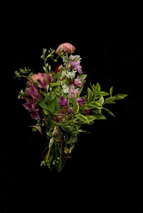 Essential vocabulary for the spanish day of the dead festival. Free Dead Flowers Stock Photo - FreeImages.com