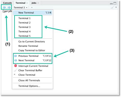 Using The RStudio Terminal In The RStudio IDE Posit Support