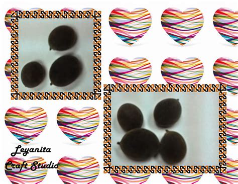 Fruits n plants, sarawak, sarikei. Buah Keranji di Dalam Perahu | Leyanita Craft Studio