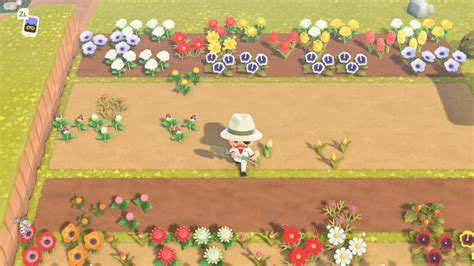 We did not find results for: Animal Crossing New Horizons Community Has Created A Guide ...