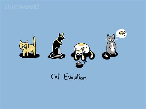 Cat Evolution