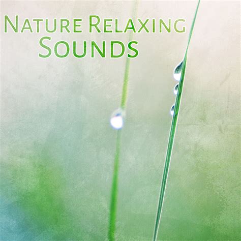 Tidal Listen To Music To Help You Relax Soothing Waves Of Calmness Nature Sounds To Calm