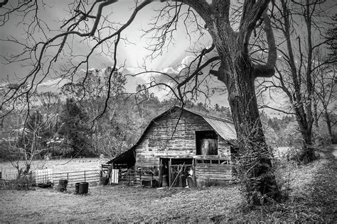 Old Barn In Autumns Embrace In Black And White Photograph By Debra And