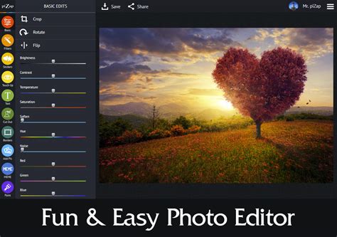 Pizap Pro Online Photo Editing Tool With Lifetime Access