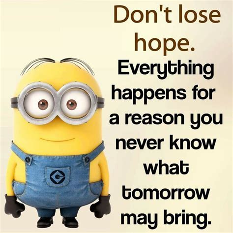 Pin By Autumn R Ryan On Minions Dont Lose Hope What About Tomorrow