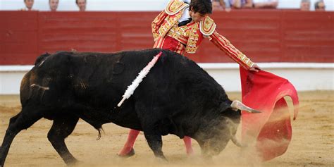 Présidentielle 2017 Corrida Ce Que Proposent Les Candidats