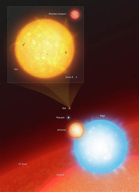 The Sun Compared To Seven Other Stars By Mark Garlickscience Photo