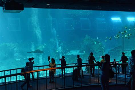 Worlds Largest Oceanarium To Open Soon In Singapore 7 Peoples