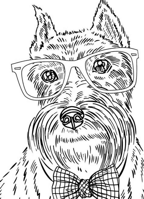 Coloring Pages For Adults Dogs