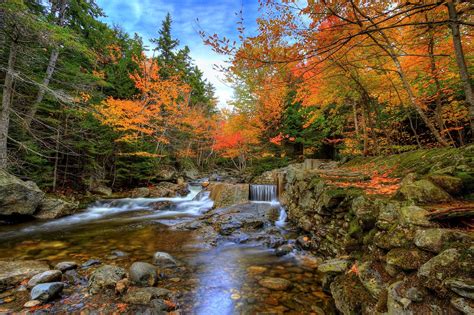 Autumn Forest Waterfall Hd Wallpaper Background Image 2980x1980