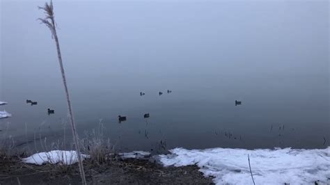 Hunting In The Fog Utah Lake Duck Hunt Youtube