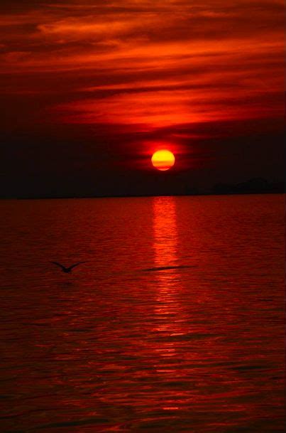 Sunsets Are Gorgeous Sunset Pictures Red Sunset Sunset Wallpaper