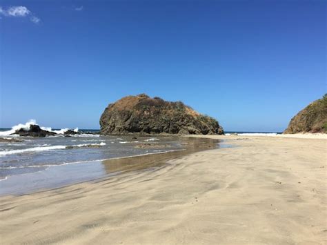 Las Baulas National Marine Park Playa Grande Updated 2020 All You