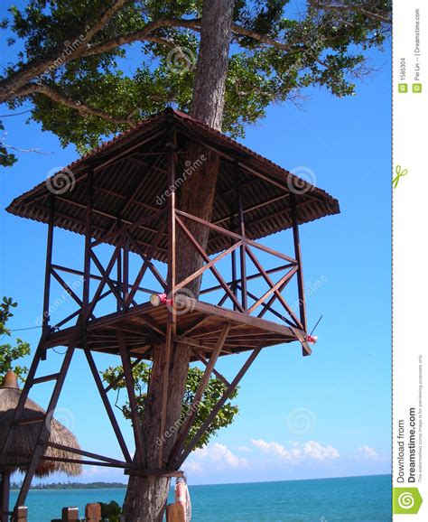 There are many other migration programs (ie, usa, canada or australia ) that may require you to invest in a business or government funds etc, where there is risk involved, mm2h. Tree House Found In Desaru, Malaysia Stock Photo - Image ...