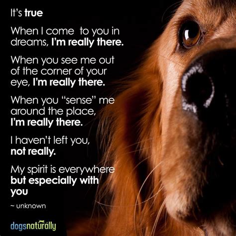 I Am Really There Dog Quotes Dogs And Puppies Dog Poems
