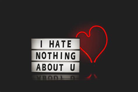I Hate Nothing About You Hd Typography 4k Wallpapers Images