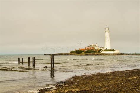 St Mary S Lighthouse And St Mary S Island Tyne And Wear Stock Image