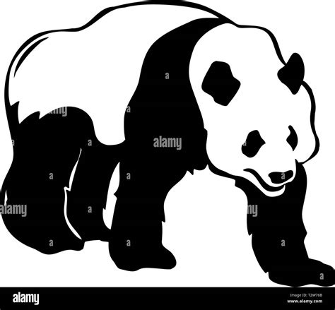 Panda Bear Illustration Stock Vector Image And Art Alamy