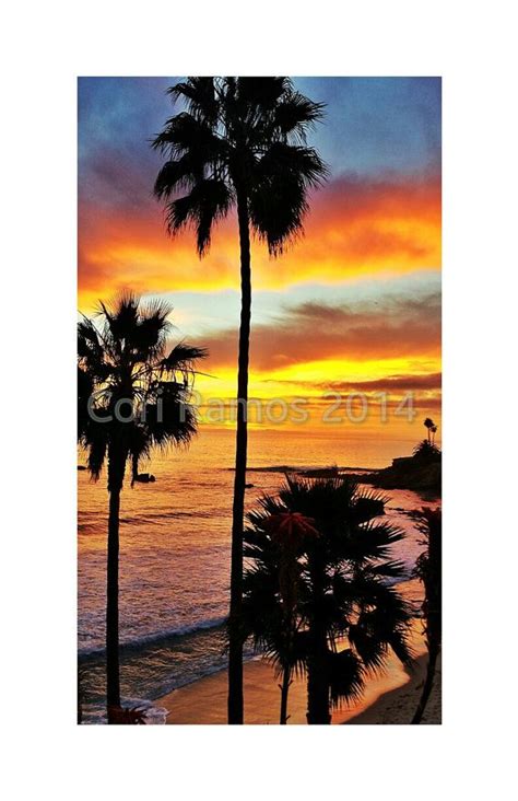 Beach Photography Palm Trees Sunset Laguna Beach By Blissbycori 3500