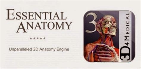 Essential Anatomy 3 Full Download Pilotstand