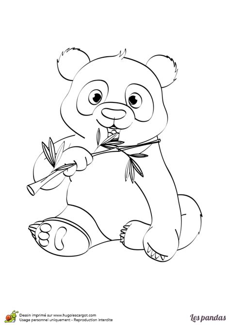 Dessin à imprimer et à colorier dun panda avec un bambou