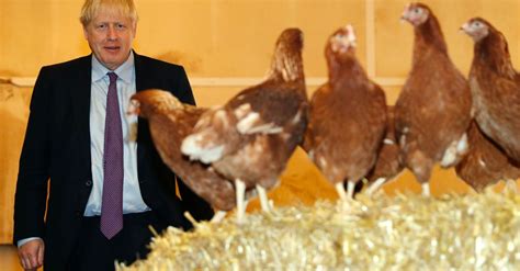 Boris Johnson Poses With Chickens As Snap Of His Aide Dressed As Tory