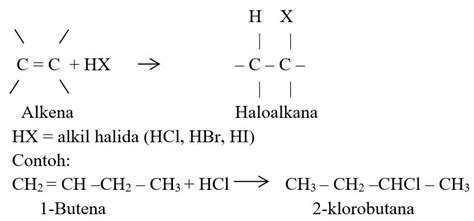 Reaksi Pada Senyawa Alkana Alkena Dan Alkuna