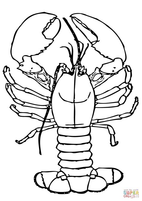 Lobster Coloring Pages Learny Kids