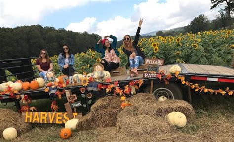 State government will make sure that the coastal road project including the construction of seven bridges and three missing link roads along that lundu: Monthly Cultural Almanac: October 2019 - Spirit Cultural ...