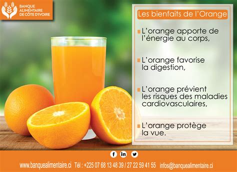 Top 81 Imagen Bienfaits Du Jus D Orange Vn