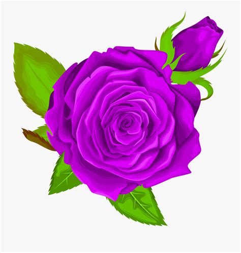 Purple Rose Decorative Png Clip Art Image Free Transparent Clipart
