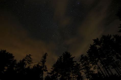 Trees Gray Clouds Nighttime Stars Night Sky Astronomy Piqsels