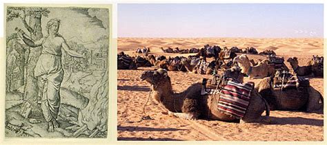 استطاعت تونس العبور إلى الأمان عبر سلسلة من الأزمات والاضطرابات، وظلت حركة النهضة تتراجع شيئا فشيئا من حيث زخم الأصوات قبل أن يحل مرشحها للرئاسة عبد الفتاح مورو في الرتبة الثالثة بعد عاصفة. تــــــــــــــــــونـــــــــــــــــــــــس