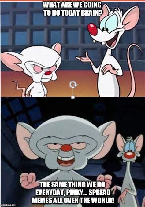 144 views, 4 upvotes, 1 comment. pinky and the brain Memes & GIFs - Imgflip