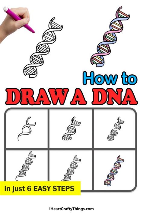 DNA Drawing How To Draw DNA Step By Step