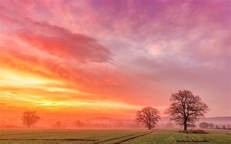 field, Trees, Dawn, Fog, Clouds, Sunrise Wallpapers HD / Desktop and ...
