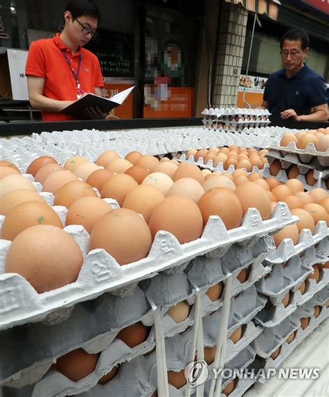새로운 살충제 에톡사졸 검출된 살충제 계란 연합뉴스