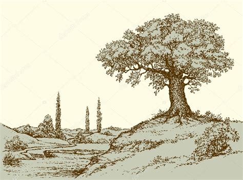 Vector Landscape Oak Tree On The Hill — Stock Vector © Marinka 122554336