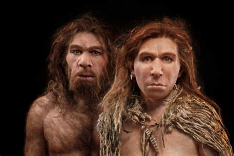 Modern Humans Mixed Regularly With Neanderthals In Europe Sambad