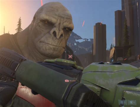 Halo Infinites Craig Meme Xbox Boss Phil Spencer Loves It Too Gamespot