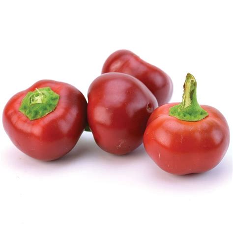 add a dash of fiery flavor to your life with these delicious hot cherry pepper seeds these hot