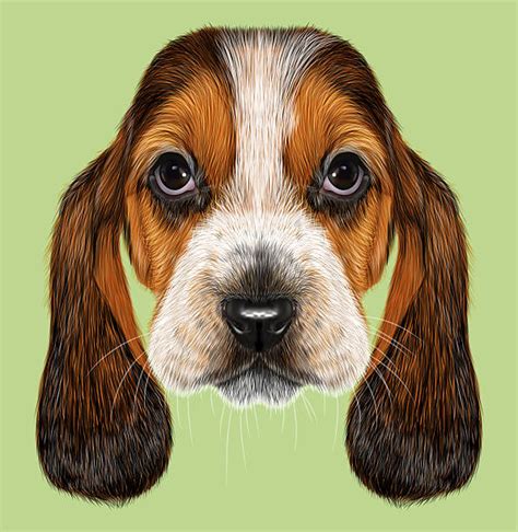 Top 60 Sad Puppy Face Clip Art Vector Graphics And