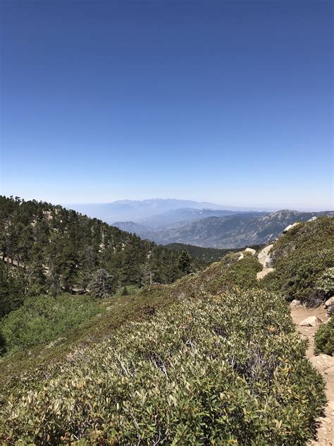 San Bernardino Peak Trail San Gorgonio Wilderness Ca Usa Hiking